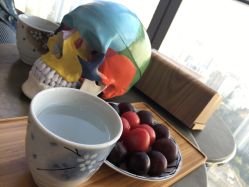 -松和日式美容整骨