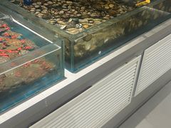 -威海蓝海御华大饭店·蓝钻美食自助百汇