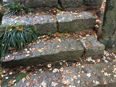 -梦姑塘文化公园