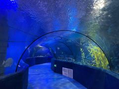 -梦幻海洋王国(吾悦广场张家港店)