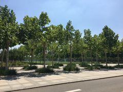 -天津现代职业技术学院