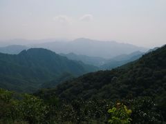 -大岭沟猕猴桃谷风景区