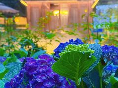 -大妙火锅·非物质文化遗产(东湖公园店)