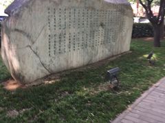 -大唐不夜城-开元广场