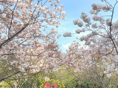 -明故宫遗址公园