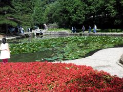 -庐山风景区花径公园
