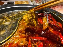 牛油菌汤鸳鸯-川西坝子火锅(金沙1.0直营店)