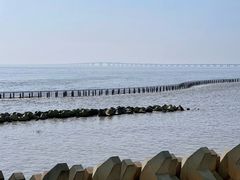 -南汇嘴观海公园