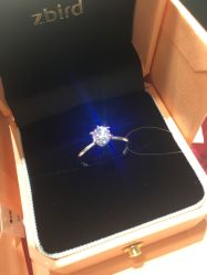 -Zbird钻石小鸟·钻戒婚戒定制高端珠宝私人定制中心