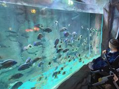 -威海华夏城景区