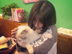 -李小姐の猫咖啡馆(五角场店)