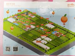 -前小桔亲子创意农场·草莓采摘·露营烧烤