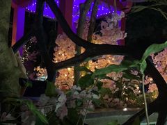 -海口观澜湖火山温泉谷