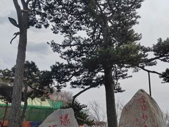 -妙峰山风景名胜区