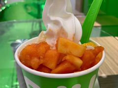 冻酸奶-Salud撒露欧洲冻酸奶(蓝色港湾店)