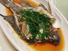 桂花鱼-林記渔村(长安店)