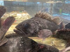-小螺号海鲜·地道鲁菜(泉城广场店)