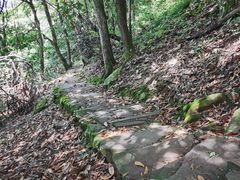 -岣嵝峰国家森林公园