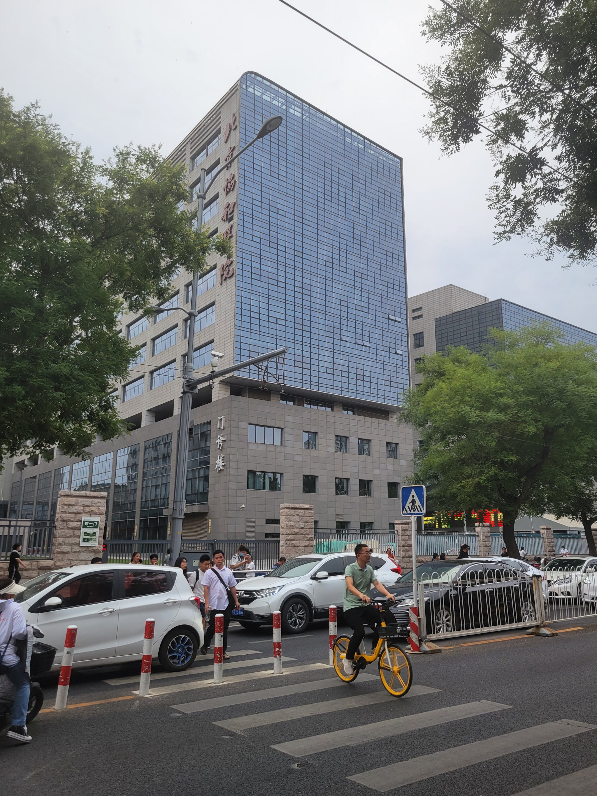 包含北京大學第六醫院、北京協和醫院、朝陽區號販子電話，去北京看病指南必知的詞條