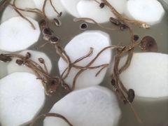 -山珍鲜牛肉火锅本地老字号(汕中老店)