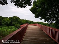 -美兰湖景区