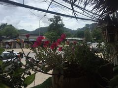 -Jungle Kitchen