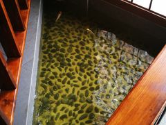 -尺山寸水日料(马桥满天星店)