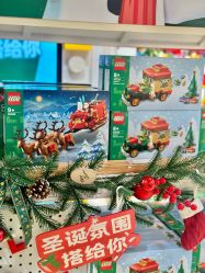 -乐高授权专卖店(万象城店)