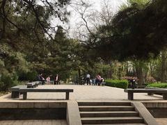 -玲珑塔公园