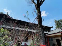 -黑龙潭公园