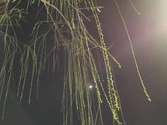 -湖畔居茶楼(湖滨店)