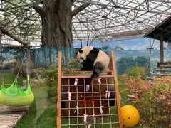 -鄂尔多斯野生动物园