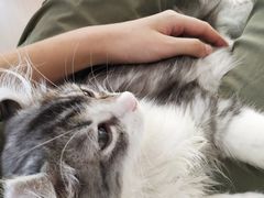 -瞄一喵猫咖(格力海岸店)