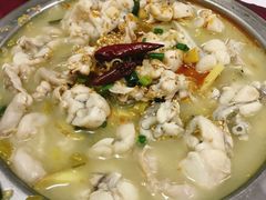 泡椒田鸡-蜀都餐厅(凤池店)