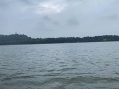 -西湖外事游船(花港观鱼码头)