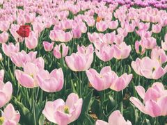 -廊坊文化艺术中心