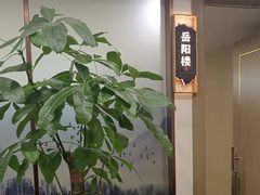 -洞庭家宴·头牌甲鱼(广渠门店)