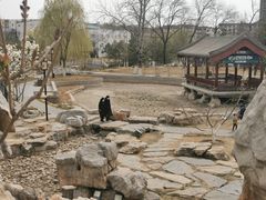 -西海子公园