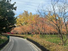 -中山公园
