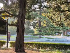 -青岛德国总督楼旧址博物馆