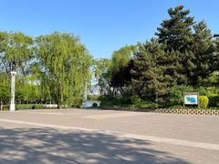 -大兴滨河森林公园
