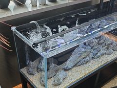 -MONANA蛋糕研究所