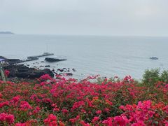 -涠洲岛火山国家地质公园