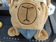 -迪卡侬(土桥店)