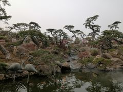 -罗红摄影艺术馆