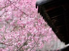 -贮水山儿童公园