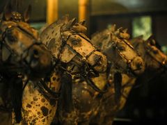 -秦始皇帝陵博物院(兵马俑)