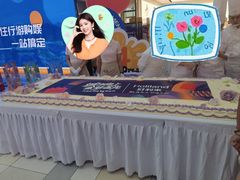 -鹏欣水游城