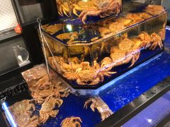 -蟹道乐(道顿堀本店)