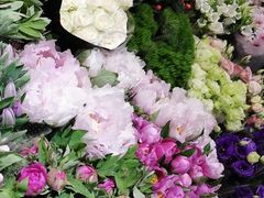 -双季花艺园艺市场(浦东店)
